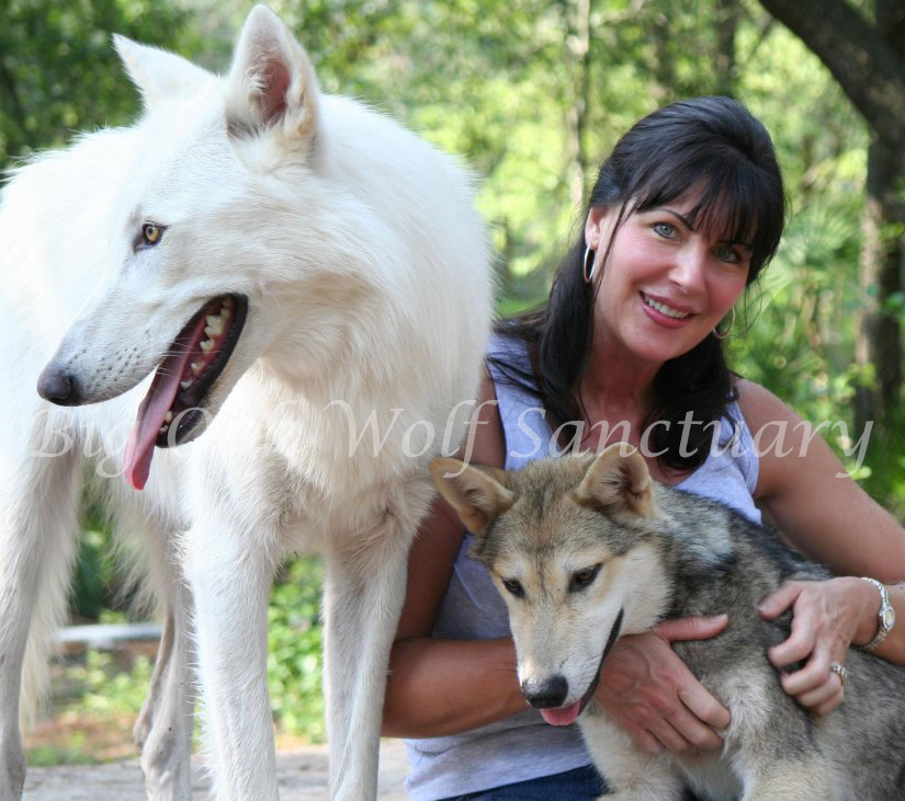 Debra Knight | Big Oak Wolf Sanctuary